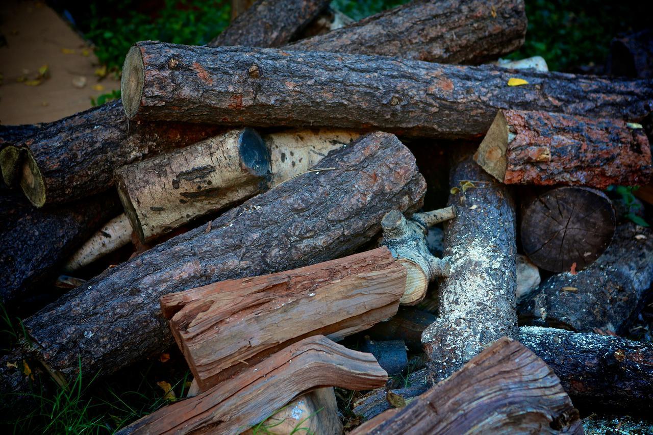 Orchard Canyon On Oak Creek Σεντόνα Εξωτερικό φωτογραφία
