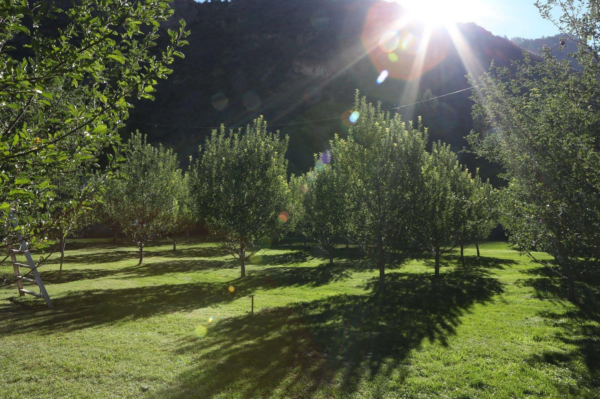 Orchard Canyon On Oak Creek Σεντόνα Εξωτερικό φωτογραφία